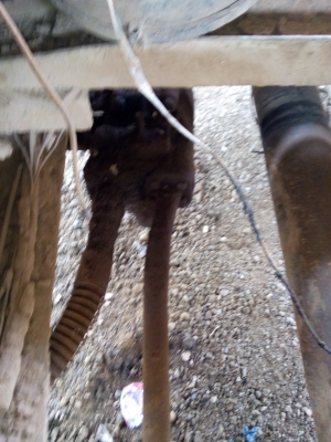 กระบอกดั๊ม3มิตรพร้อมคัชชีเทียมอุปกรณ์ครบขายถูก 45000