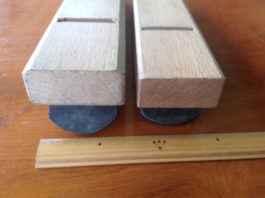 กบญี่ปุ่น