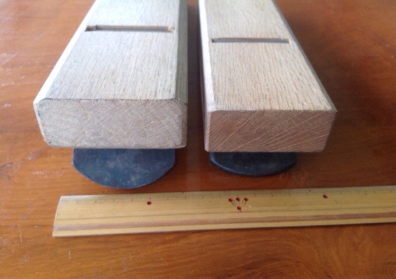 กบญี่ปุ่น