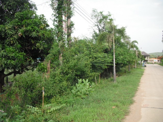 ขายที่อำเภอปราณบุรีห่างทะเลเพียง500เมตร