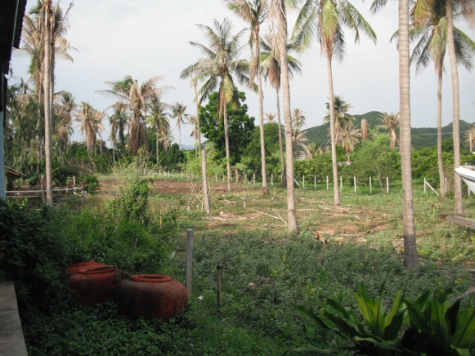 ขายที่อำเภอปราณบุรีห่างทะเลเพียง500เมตร