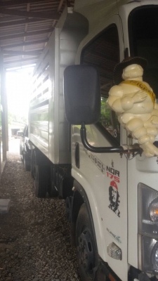 ขายดาวน์รถ6ล้อ isuzu 175 ปี55ติดต่อ 080-1405528