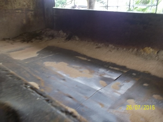 ขายดั้มไม่มีทะเบียน