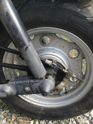 ขาย gyro up สวย ถูก