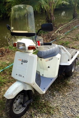 ขาย gyro up สวย ถูก