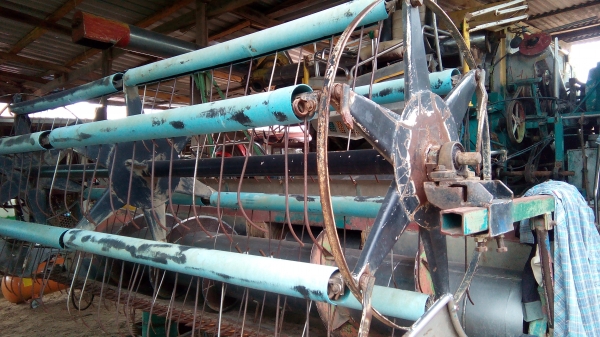 ขายลุกดาว ขนาด 3 เมตร