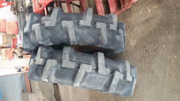 ขายอยางดอกบั้งขอบ16ราคา3500บาทสนใจโทร0813655996อำพร พาเจริญ ของอยู่วังบัง อ คลองขลุง จ กำแพงเพชร .