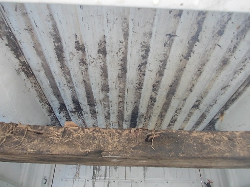 ขายกระบะTOYOTA Mighty-X-CAB-โป่ง สภาพดี ไม่มีสนิม 8,900 บาท