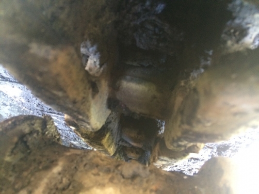 นำเข้าเครื่องจักรกลหนักมือ 2 จากต่างประเทศ Tel.098-858-5524 สามภพ ครับ นำเข้าเครื่องจักรกลหนักมือ 2 จากต่างประเทศ Tel.098-858-5524 สามภพ ครับ