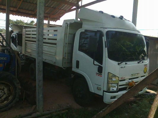 รถอิซูซุ 6 ล้อดั๊ม NQR 175 แรงม้า ปี 55  สนใจติดต่อ 081 - 6079515