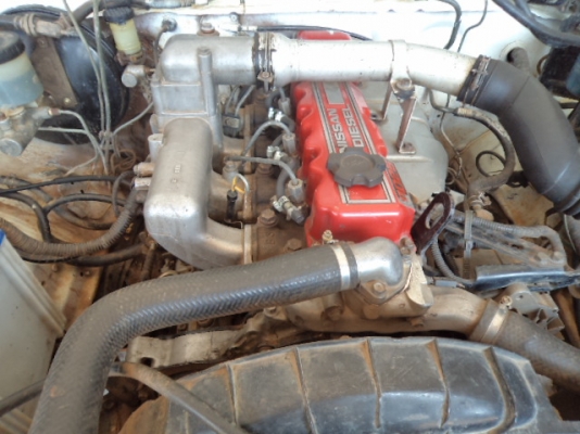 ขายรถกะบะนิสสันบิกเอ็ม ฝาแดง2500 สภาพดีพร้อมใช้ ขายรถกะบะนิสสันบิกเอ็ม ฝาแดง2500 สภาพดีพร้อมใช้