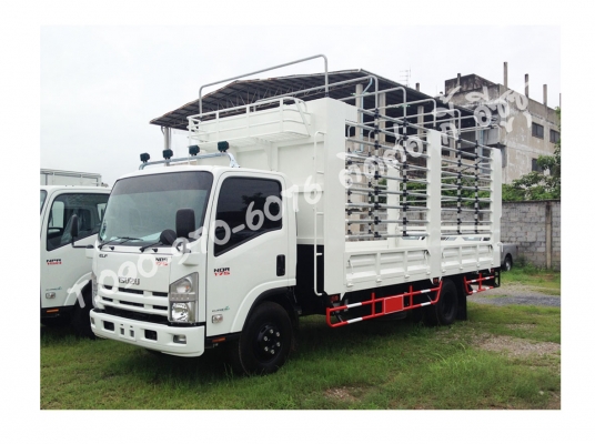 ISUZU NQR175แรงยาว 4.3เมตร,5.6เมตร ISUZU NQR175แรงยาว 4.3เมตร,5.6เมตร