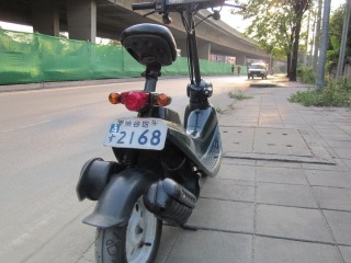 ขาย honda zoook modern style