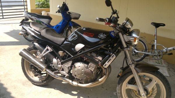 ขาย suzuki bandit 250cc