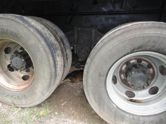 ISUZU  FXZ270  10 ล้อ  ดั้ม  เฉพาะแม่นะค่ะ