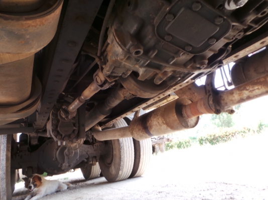 ISUZU  FXZ270  10 ล้อ  ดั้ม  เฉพาะแม่นะค่ะ