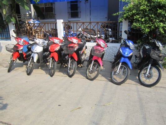 ขายwave100UBOXทั้งปลีกส่ง ราคาเบาๆ ชุดโอนครบทุกคัค