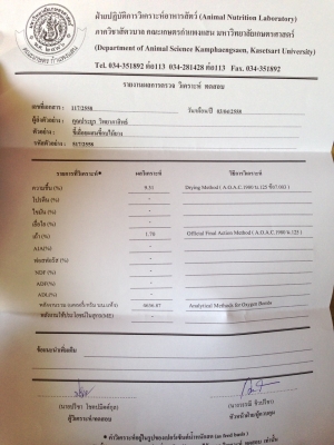 เม็ดเชื่อเพลิง ราคาถูก wood pellet