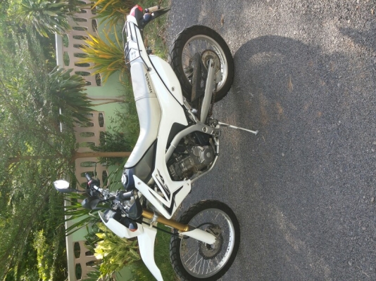 ขายCRF 250 ปี