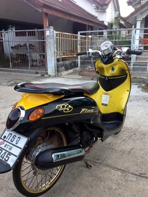 ฟีโน่ ปี 53 สภาพ หล่อๆ ฟีโน่ ปี 53 สภาพ หล่อๆ