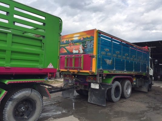 ขายเดก้า 270