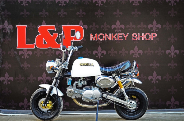 มังกี้ กอลิล่า แต่งๆๆ ลดราคาทุกรุ่นและมีของแถมอีกมากมาย  ด่วนๆๆ ลดๆๆ   เริ่มต้นราคา ที 25900