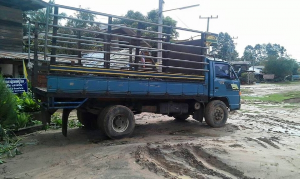 ขาย6ล้อ ISUZU NPR เครื่องดีแคชซีสวย ยางดี ภายในสวย สภาพพร้อมใช้งาน เอกสารพร้อมโอน สนใจโทร 090-8588220คุณนะ 093-3258446คุณบิว ID:narong498 หรือเข้าดูสินค้าอื่นๆได้ที่ www.truck.in.th/498 หรือเพจFacebook ณรงค์ ซื้อขายรถมือสอง (เว็บไซต์ส่วนตัว) หรือFacebook