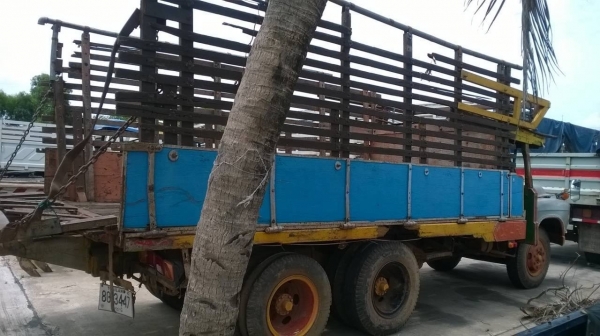 ขาย 10 ล้อหัวยาว 2 เพลา ช่วงล่างใหญ่จัมโบ้ เครื่อง EH700 168 แรงม้า คัสซีดี สโลว์เกียร์กลาง ทะเบียนพร้อมโอน ราคาคุยกันได้