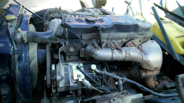 หกล้อ อีซูซุ NPR115 ปี38 สั้งลุย ดั้ม5คิว สภาพสวยล่างใหญ่พร้อมลุย ทะเบียน.โอน หกล้อ อีซูซุ NPR115 ปี38 สั้งลุย ดั้ม5คิว สภาพสวยล่างใหญ่พร้อมลุย ทะเบียน.โอน