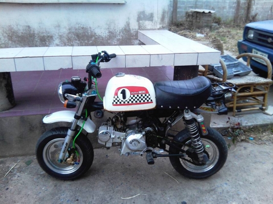 ขาย stallion gio