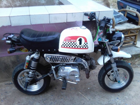 ขาย stallion gio