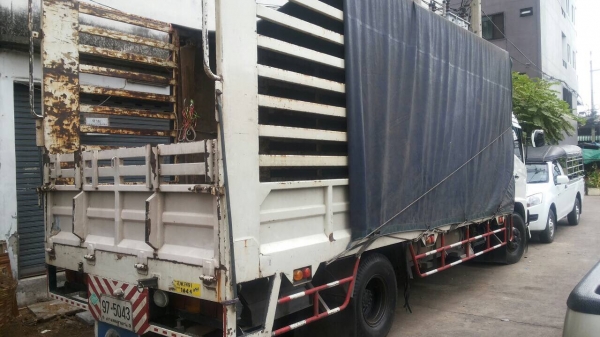 ขาย 6 ล้อ เมก้า ยาว5.50เมตร สภาพสวยพร้อมใช้งานเลยครับ ขาย 670000บาท