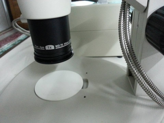 ลดราคา Microscope Nikon SMZ800 เหลือ13000 ( ชาติ ลำพูน ) ลดราคา Microscope Nikon SMZ800 เหลือ13000 ( ชาติ ลำพูน )