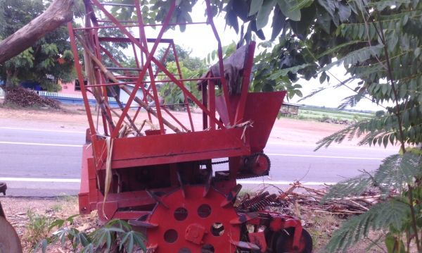 หางปลูกอ้อย แบบร่องคู่ ระยะ 40 ซม.