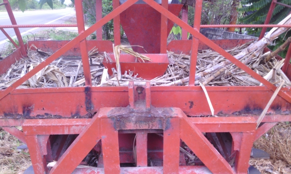 หางปลูกอ้อย แบบร่องคู่ ระยะ 40 ซม.