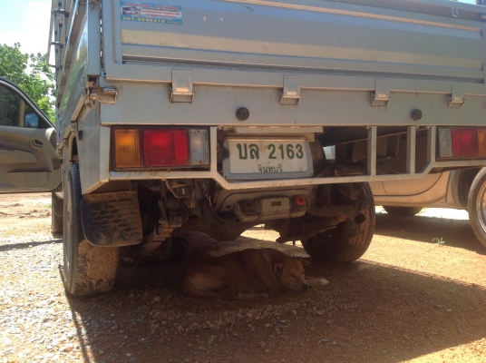 2Jvvti auto ลิ้นเร่งไฟฟ้าแรงกว่าLPG/นำ้มัน