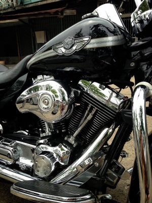 ขาย harley-davidson Road King Standard 100 ปี ปี2003 สภาพนางฟ้า ราคา 490,000 บาท อินวอยท์+สรรพสารมิตรแท้