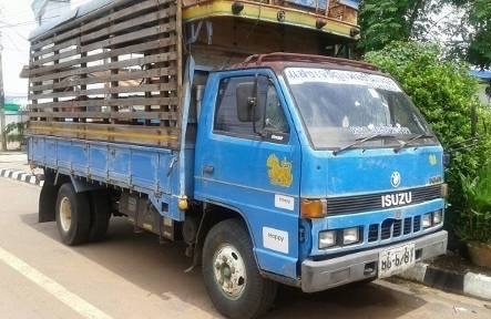 ขาย 6 ล้อ ISUZU NKR