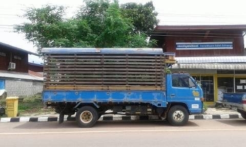 ขาย 6 ล้อ ISUZU NKR ขาย 6 ล้อ ISUZU NKR