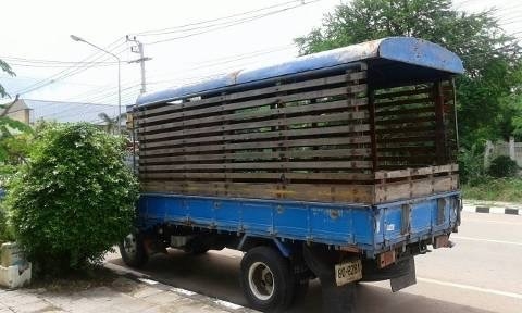 ขาย 6 ล้อ ISUZU NKR ขาย 6 ล้อ ISUZU NKR