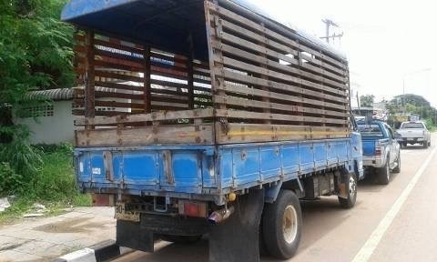 ขาย 6 ล้อ ISUZU NKR ขาย 6 ล้อ ISUZU NKR