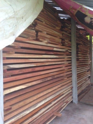 ขายไม้ประดู่แท้ๆ ไม้หนา 2 นิ้ว ยาว 4-5-6-8 เมตร กว้าง 40-50-60-70 เซนติเมตร จำนวน 2 เทรลเลอร์ ขาย 8 ล้าน