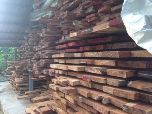 ขายไม้ประดู่แท้ๆ ไม้หนา 2 นิ้ว ยาว 4-5-6-8 เมตร กว้าง 40-50-60-70 เซนติเมตร จำนวน 2 เทรลเลอร์ ขาย 8 ล้าน