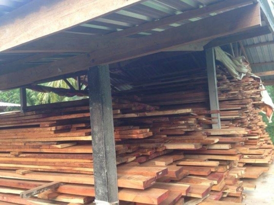 ขายไม้ประดู่แท้ๆ ไม้หนา 2 นิ้ว ยาว 4-5-6-8 เมตร กว้าง 40-50-60-70 เซนติเมตร จำนวน 2 เทรลเลอร์ ขาย 8 ล้าน