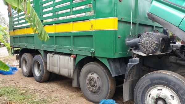 ขายสิบสองล้อสองเพลา isuzu GIGA 360 ไม่ดั้ม