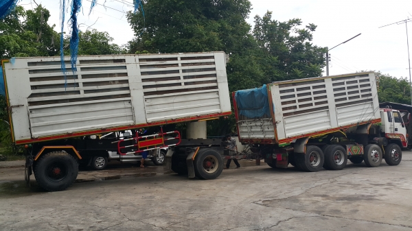 ขายรถพ่วง 20 ล้อ แม่-ลูก กระบะเหล็กคอกเกษตรดั้ม ISUZU 210 วางเครื่อง HINO P11C-320 แรง เกียร์อีตั้น รถสวย ยางเต็ม ราคาย้อมๆ1250000 ต่อรอง จัดแนนซ์ได้