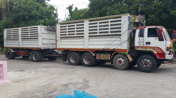 ขายรถพ่วง 20 ล้อ แม่-ลูก กระบะเหล็กคอกเกษตรดั้ม ISUZU 210 วางเครื่อง HINO P11C-320 แรง เกียร์อีตั้น รถสวย ยางเต็ม ราคาย้อมๆ1250000 ต่อรอง จัดแนนซ์ได้