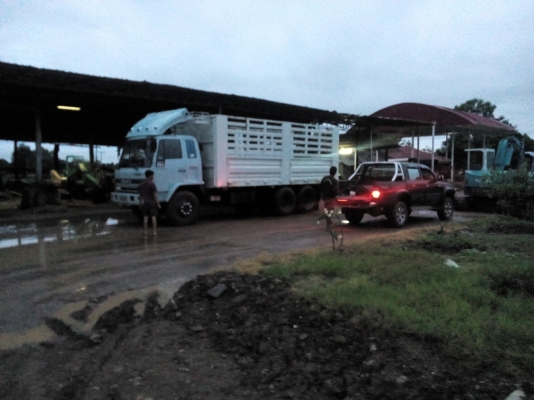 ขอบคุณพี่ที่มาจากน่านที่ให้ความไว้ว่างใจมัดจำกลางอากาศคับกระบะรถล้องสิบล้อสภาพสวย 60000