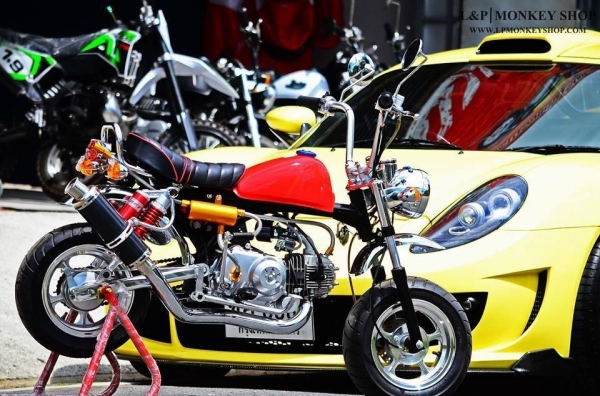 มังกี้ กอลิล่า แต่งๆๆ ลดราคาทุกรุ่นและมีของแถมอีกมากมาย  ด่วนๆๆ ลดๆๆ   เริ่มต้นราคา ที 25900