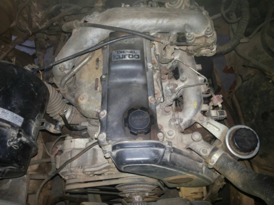 jeep แว็กกอเนีย